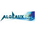 xr:d:DAF6h9n49lg:5,j:1520381070788039929,t:24012115